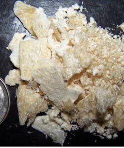 Kaufen Sie Meskalin-Kakteen