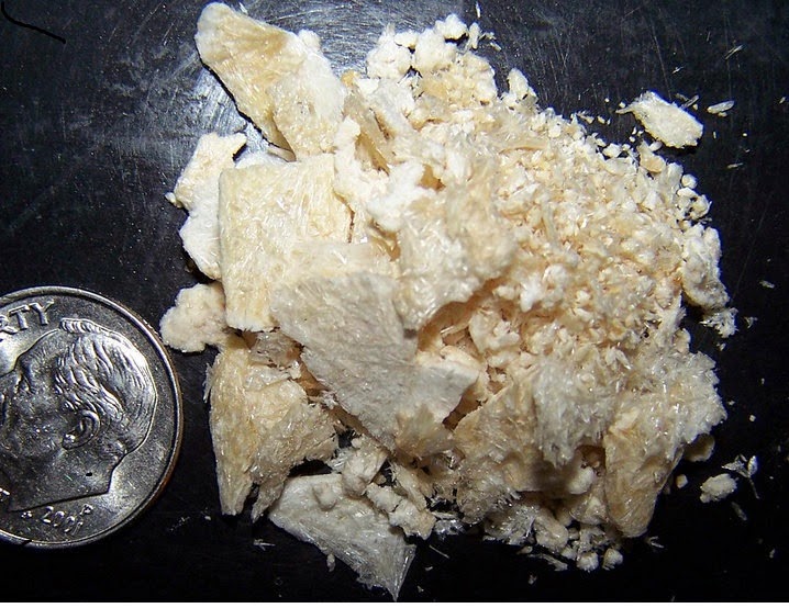 Kaufen Sie Meskalin-Kakteen